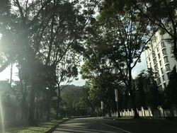 Hume Park I (D21), Condominium #582583081